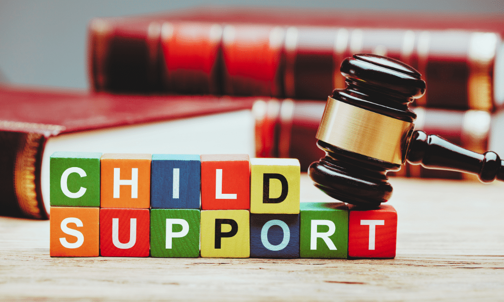High Net-Worth Child Support Considerations in Ontario explained by Nima Amiri at Amiri Family Law